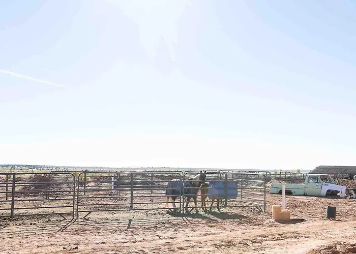 Holiday home Glitter And Grit! The Wild West 40 Homestead