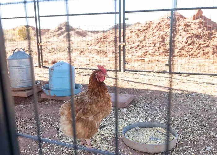Glitter And Grit! The Wild West 40 Homestead Holiday home Cane Beds